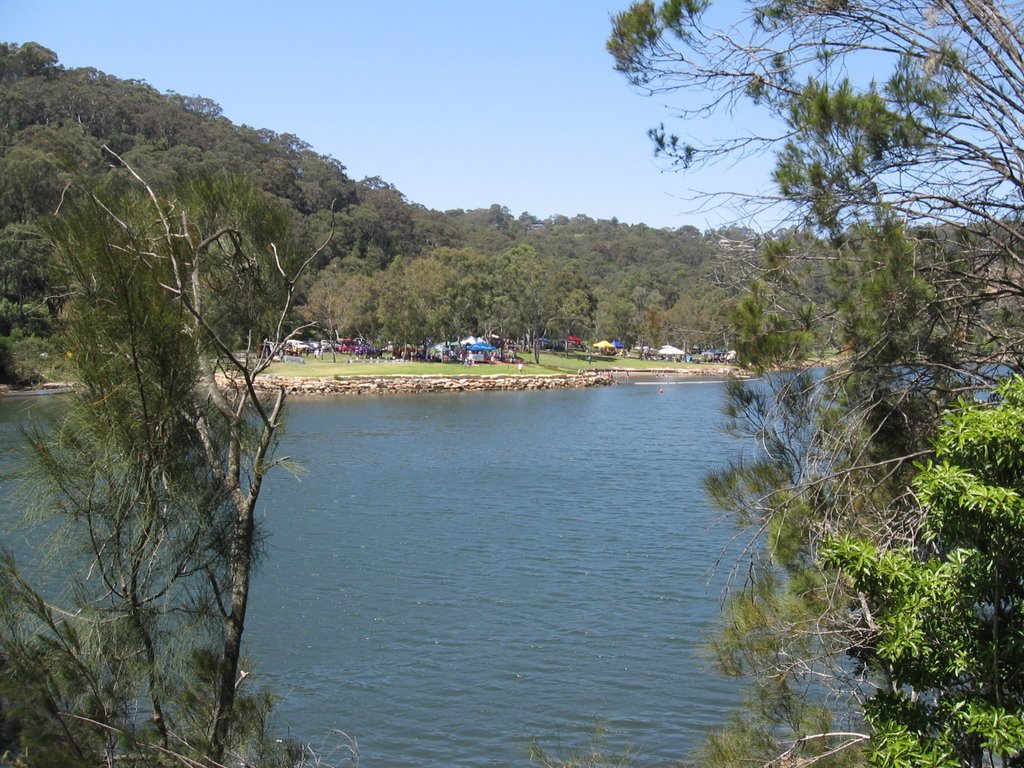 View of Davidson Park by cpeacock