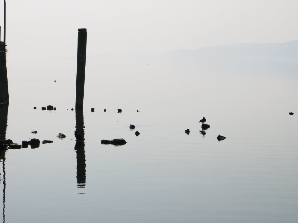 Dawn at Lake Constance, Ludwigshafen, Germany by Paris Eleftheriades