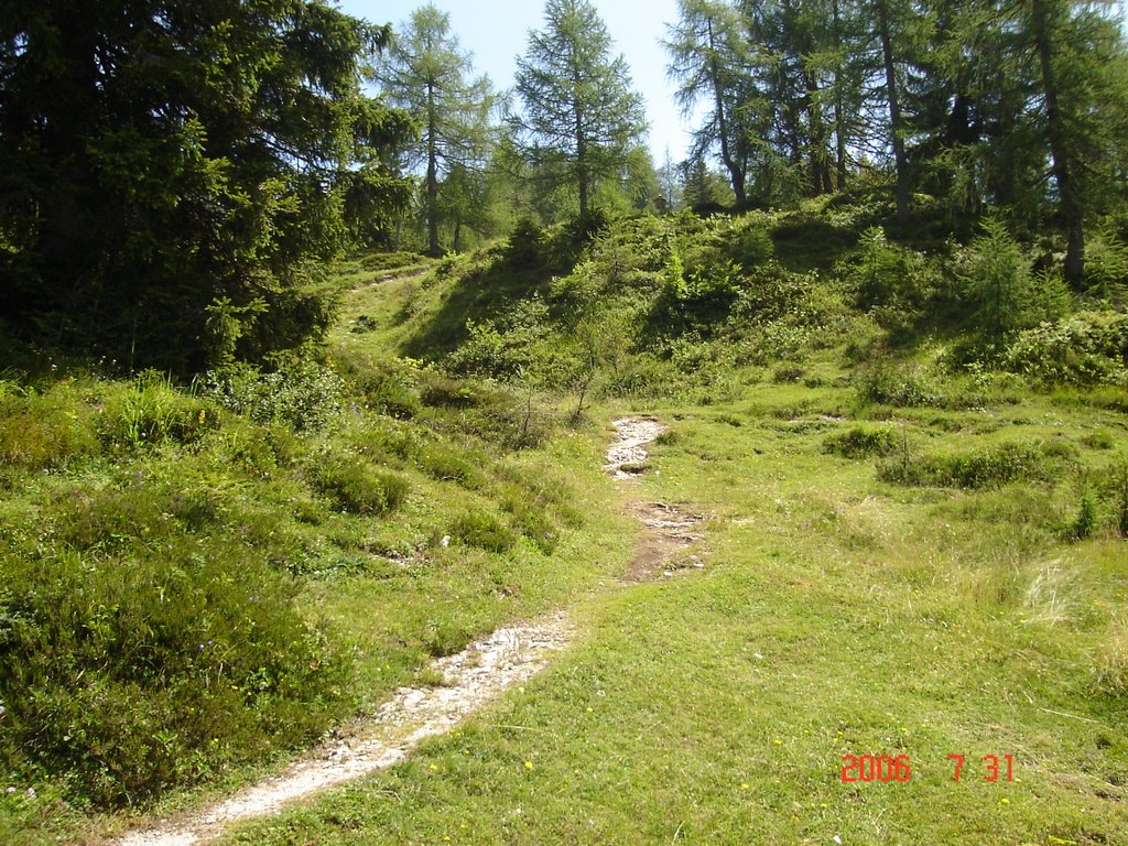 Pfad zur Brennhütte by FetzenS.