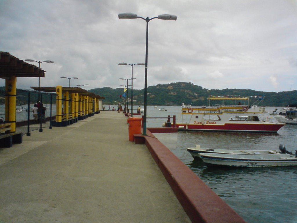 Muelle Zihuatanejo by salvano