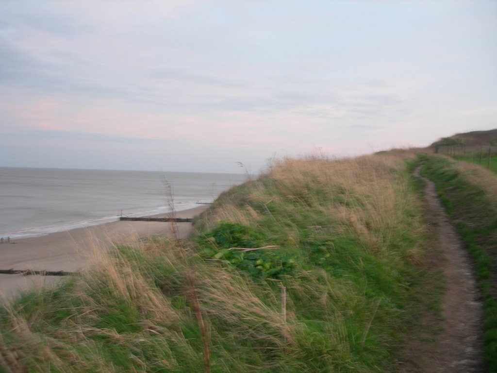 Beach from cliff by tamsin702