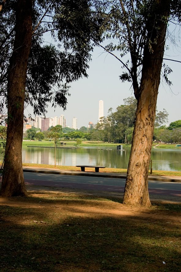 Parque do Ibirapuera - Lago - São Paulo - Brasil by jaimefinazzi