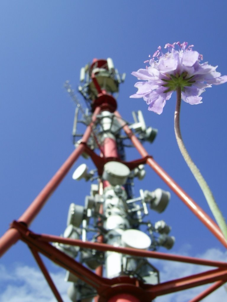 Strázsahegyi antenna by erdőkerülő