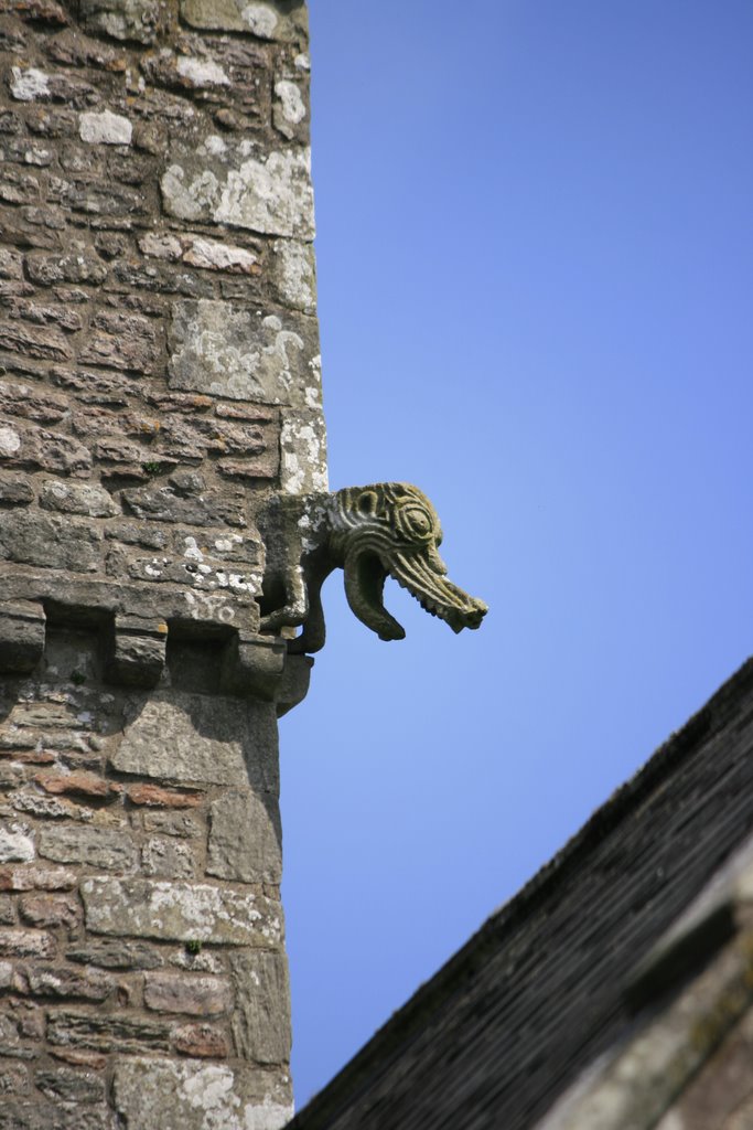 Coity Church gargoyle by fillup