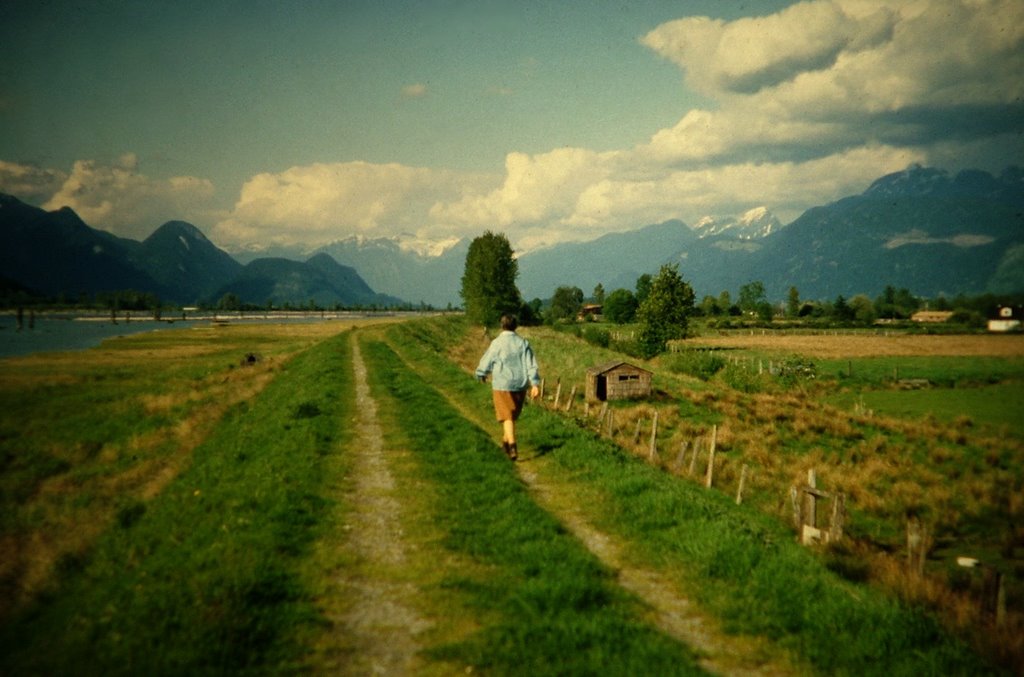 Pitt River dyke by waltvdk