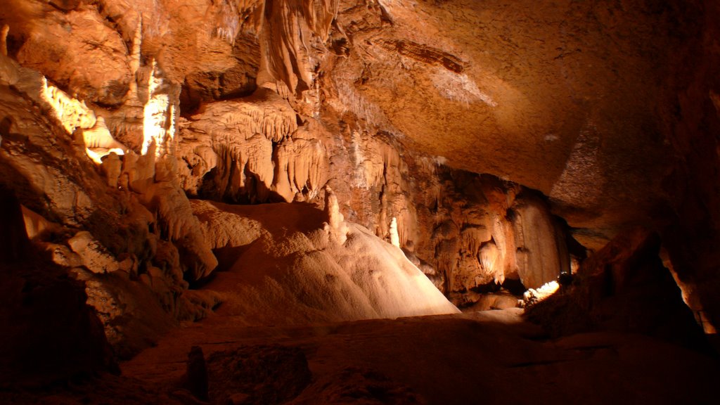 Grotten van Trabuc Anduze by Arie Bakker