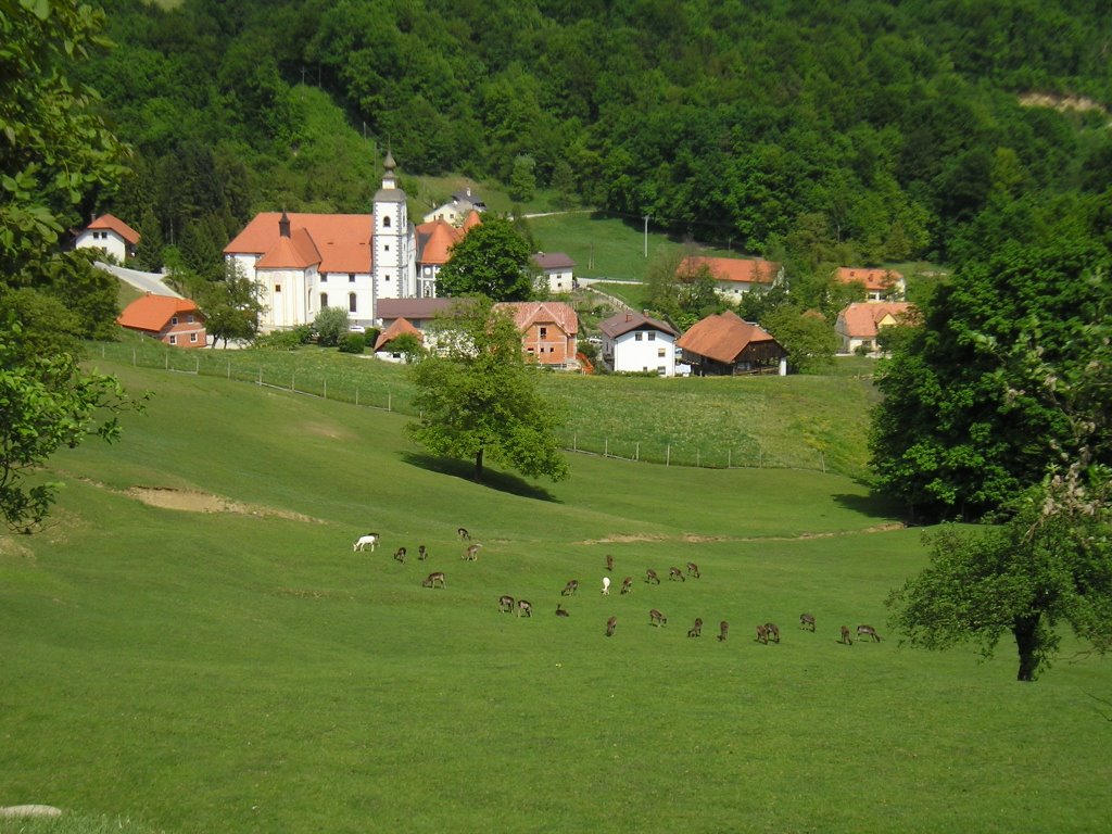 Olimje z Jelenovega grebena/ Olimje from Jelenov greben by entiteta