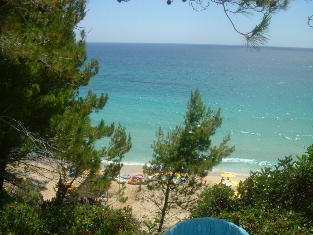 Makris Gialos through the trees by rosamundrengozzi