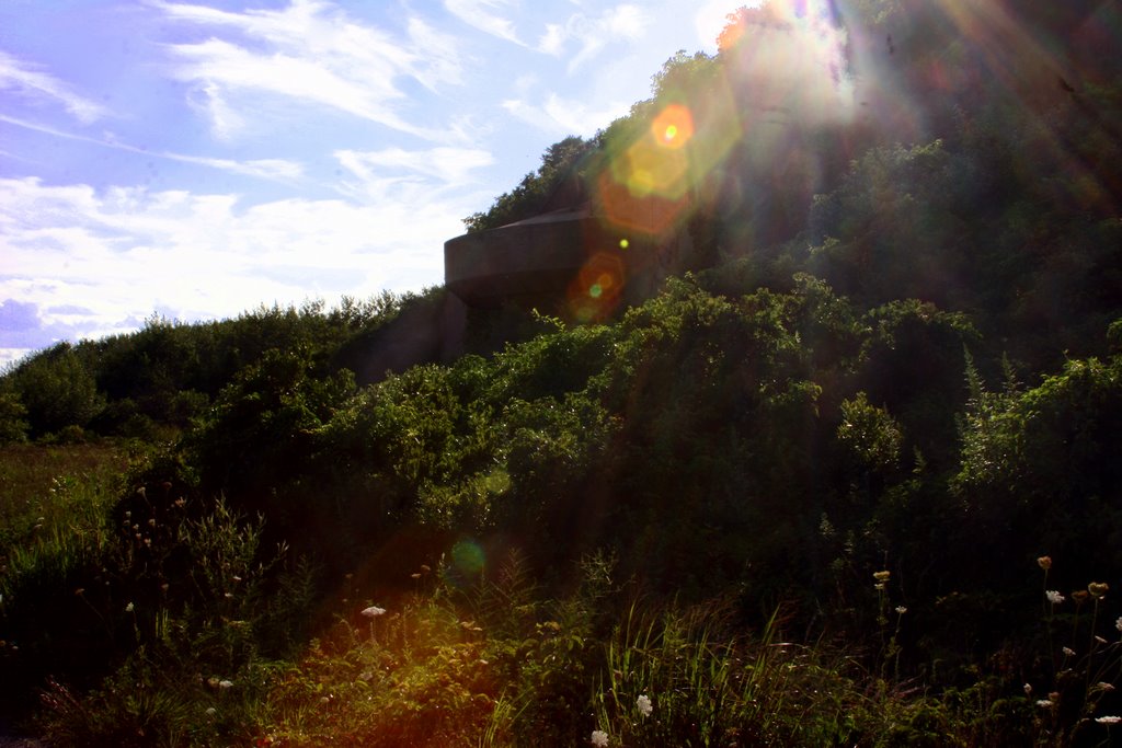 East Battery Harris Casemate by RogersaurusRex