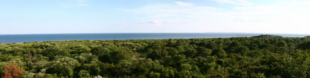 Atlantic Ocean from top of East Battery Harris by RogersaurusRex