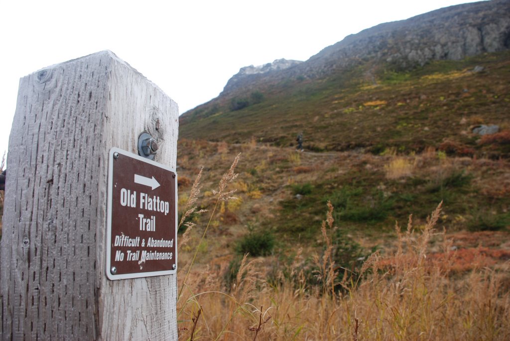 Old Trail at Flattop by joearruda