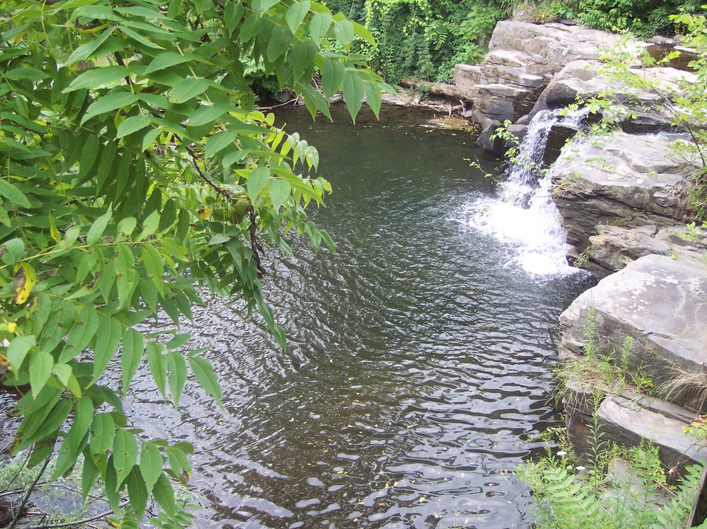 Tannery Falls - Aug '08 by kdfitzmo