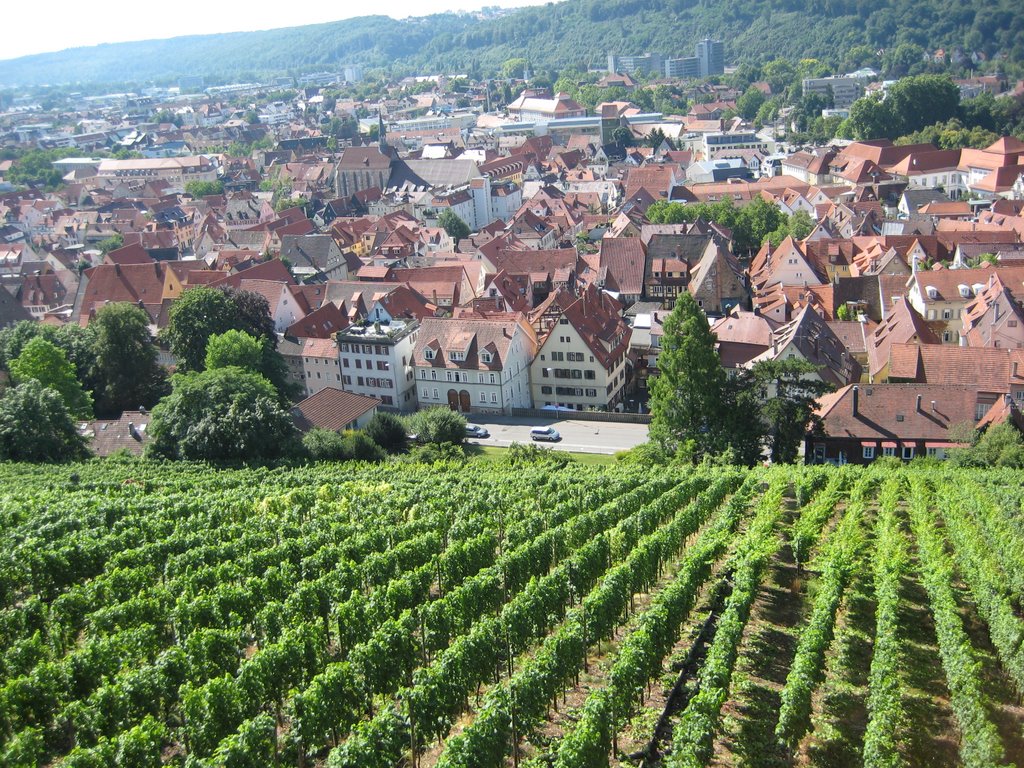 Altstadt Esslingen 03, Blick von der Burg, Baden-Württemberg, Germany by wilma52