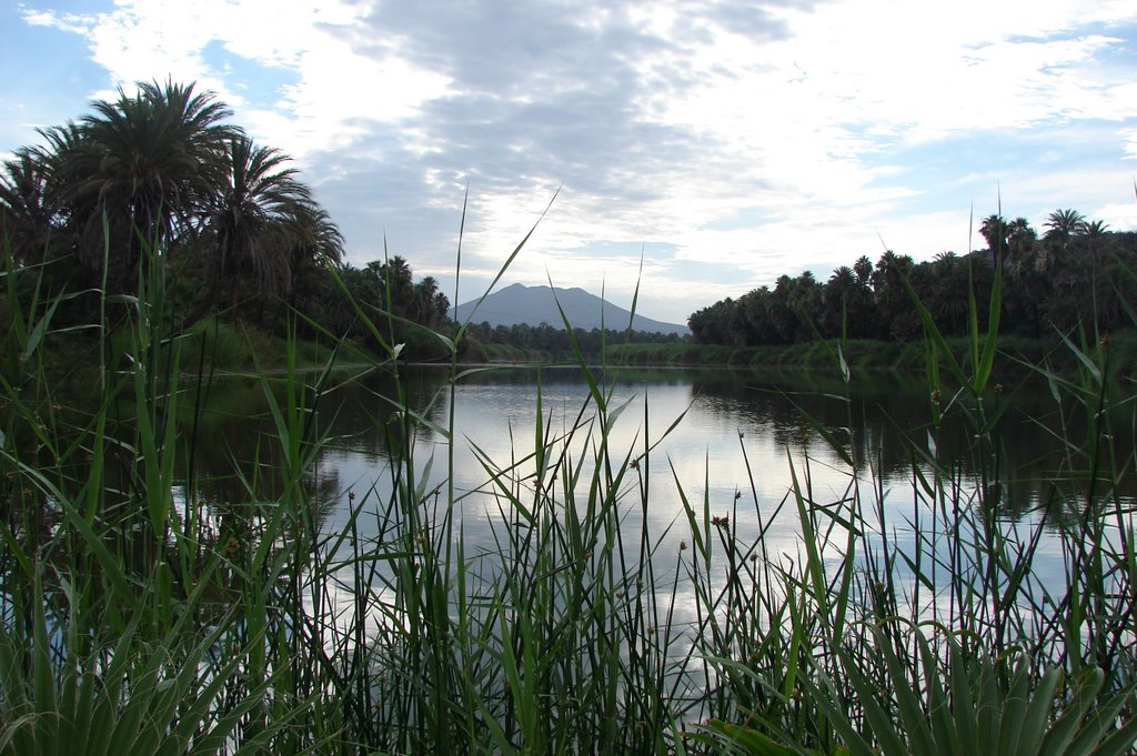 Oasis San Ignacio, BCS by Miriam Edith Romero …