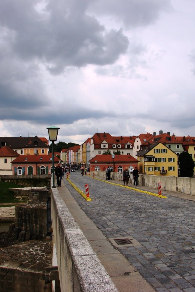 Old town of Regensburg with Stadtamhof - UNESCO World Heritage by Svetlana Masalitina