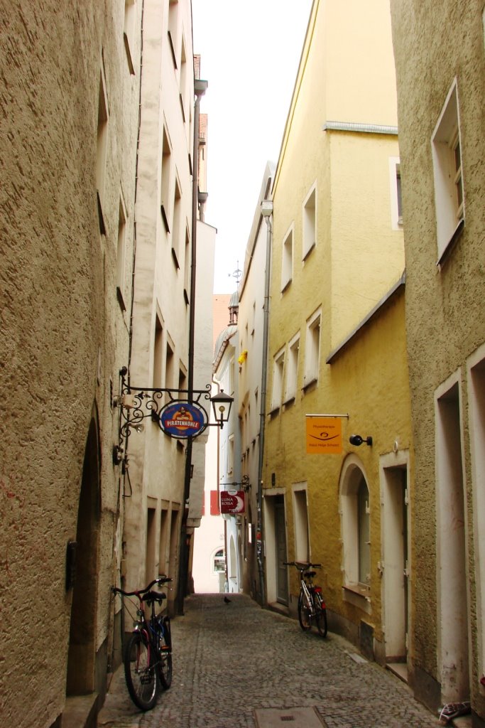 Old town of Regensburg with Stadtamhof - UNESCO World Heritage by Svetlana Masalitina