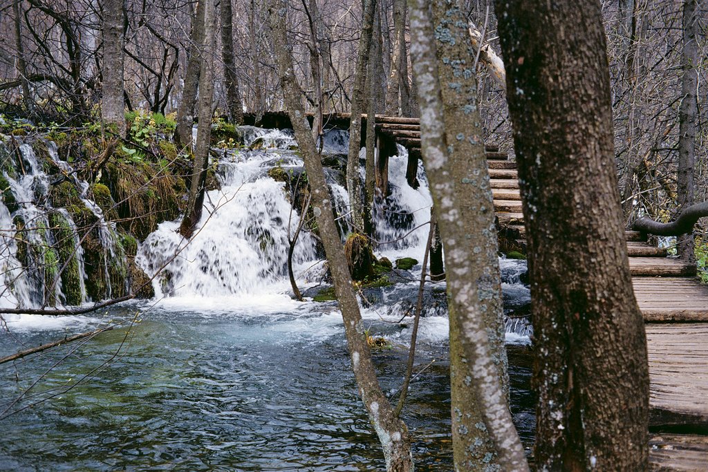 Laghi di Plitvice by Alberto Salvadoretti