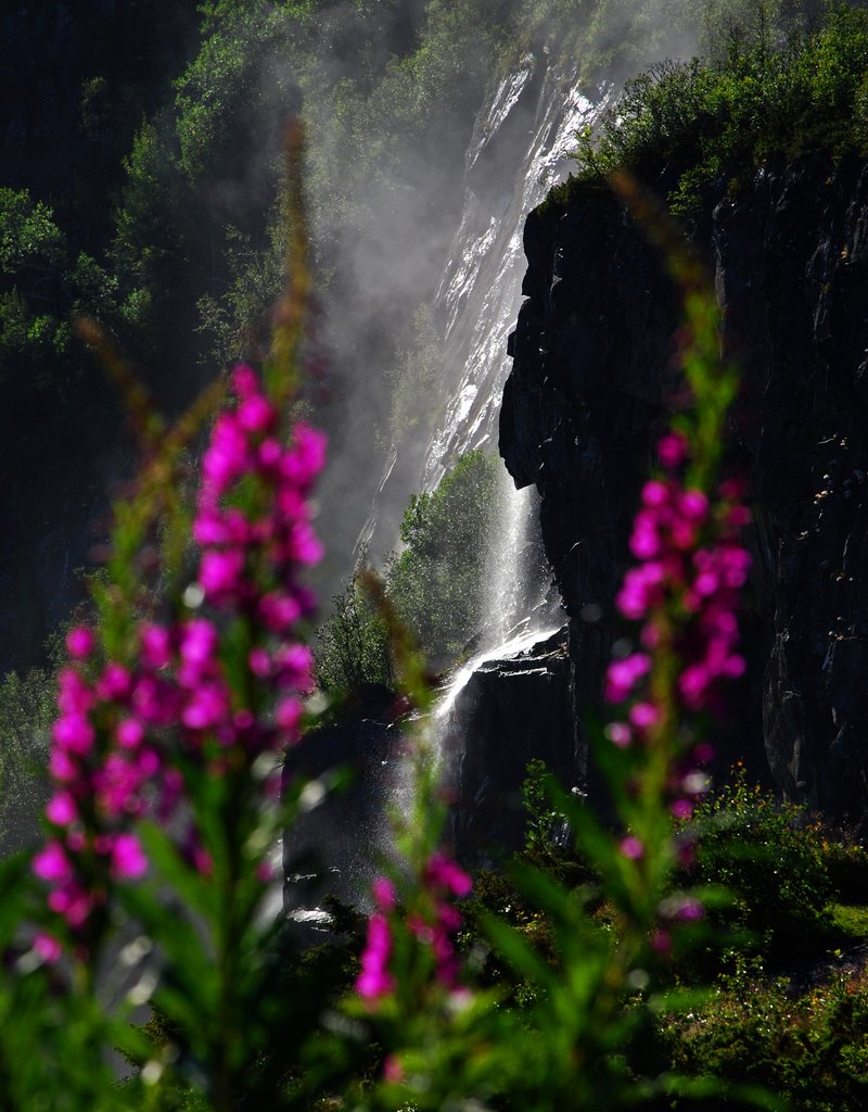 Waterfall and flowers, Fossli by Thomas Ekrene