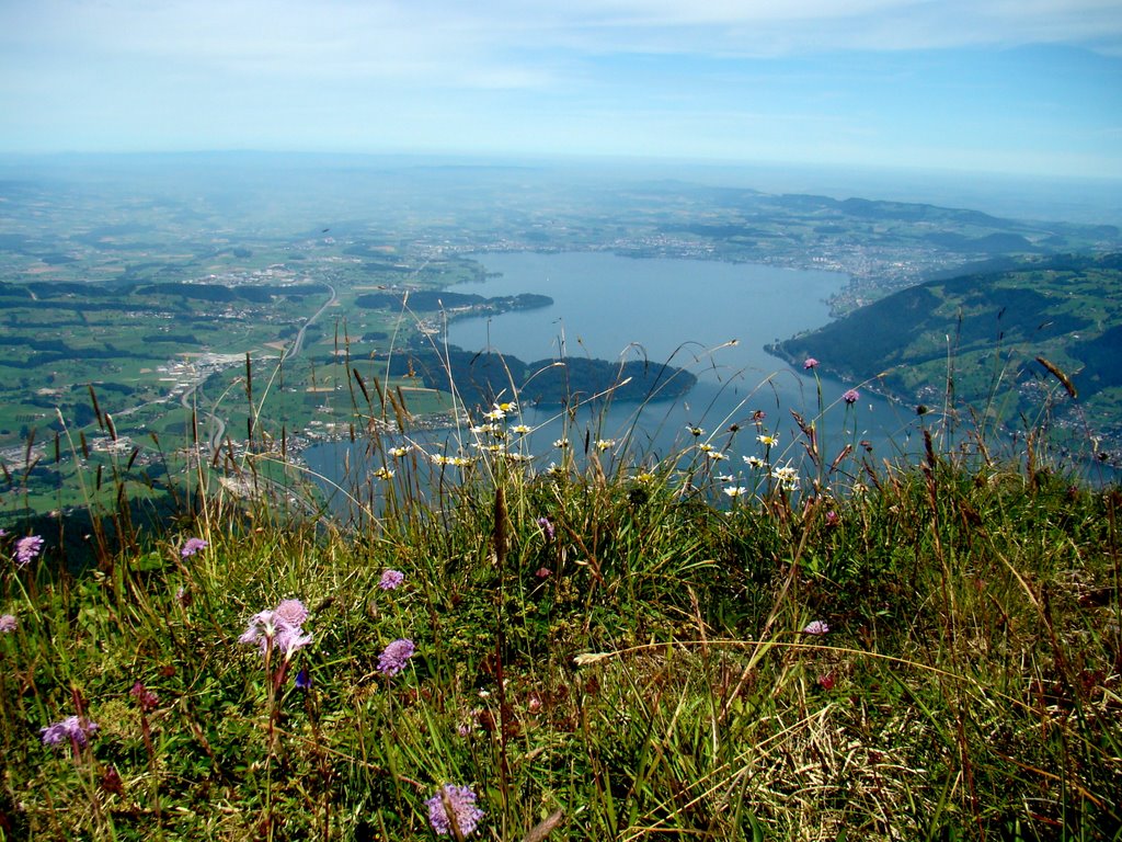 View on Zugersee (Zug lake) by Svetlana Peric