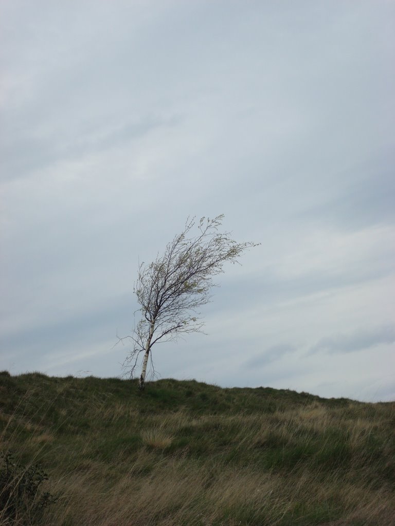 Holyrood Park by George_