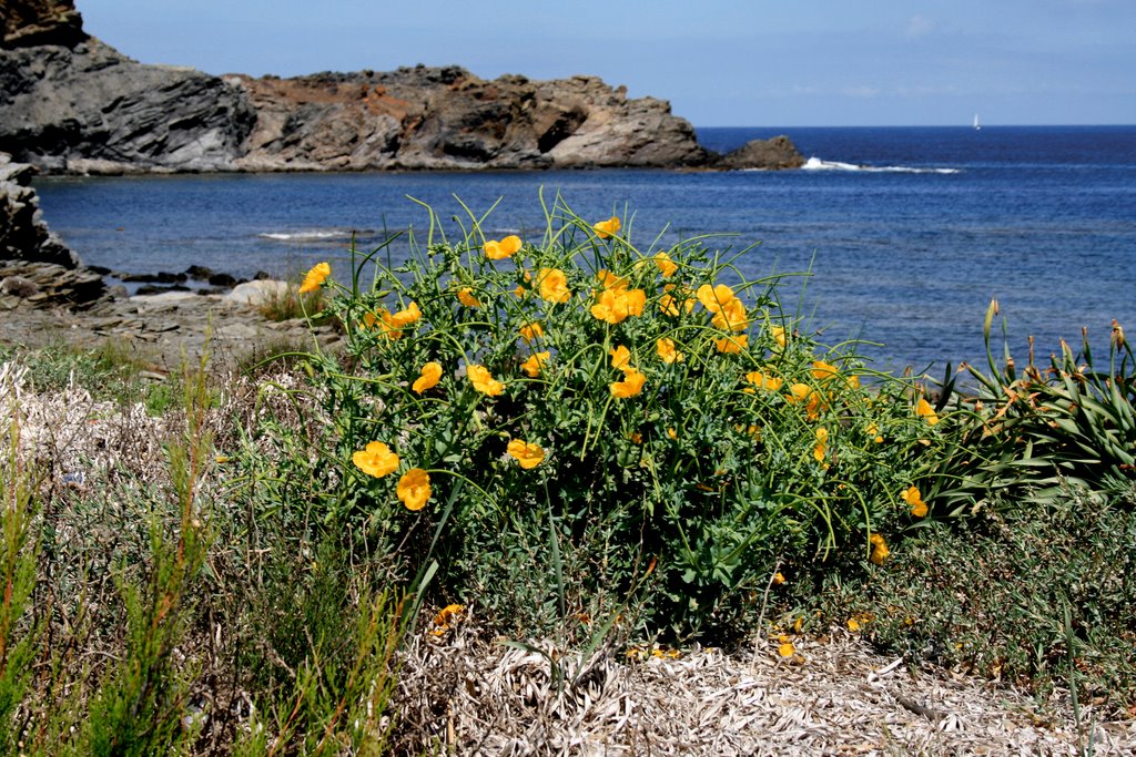 Küste bei Favaritx, Menorca by ggehling