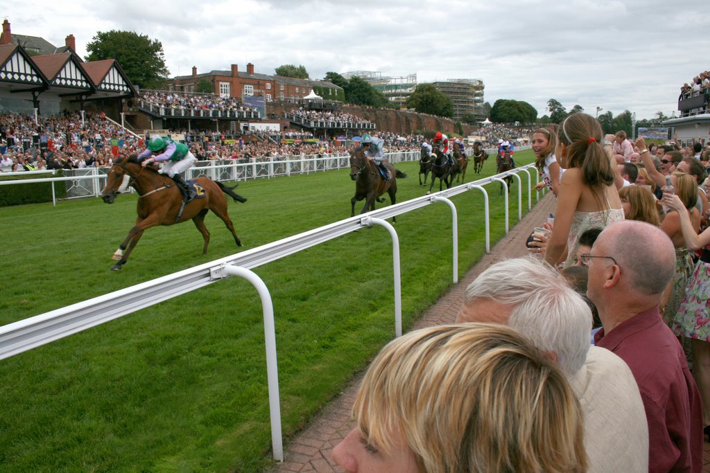 Chester Races Aug 2008 by gazardo