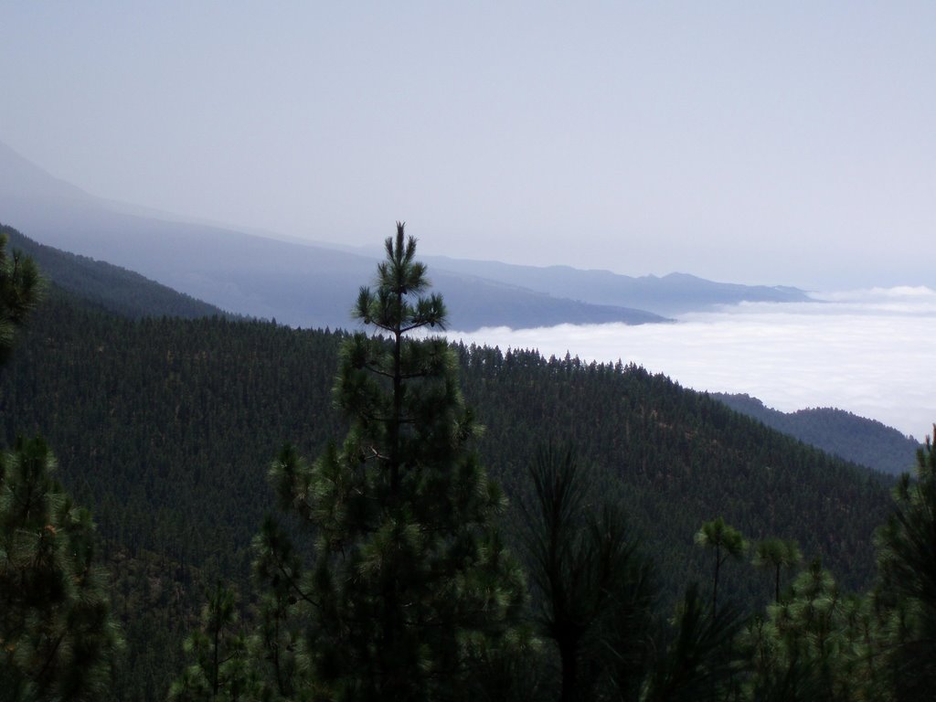 La Victoria de Acentejo, Santa Cruz de Tenerife, Spain by Andriy Kotsyumbas