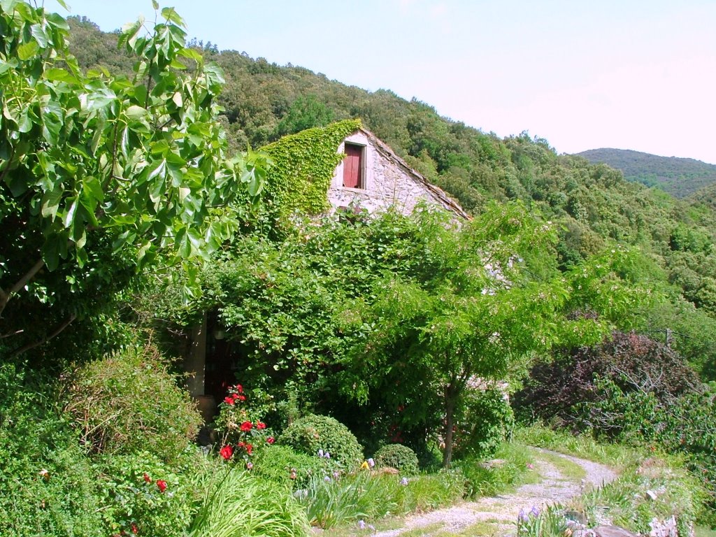 Vue partielle de Bonnefont, Hameau de Saint Etienne d'Albagnan by rv8427