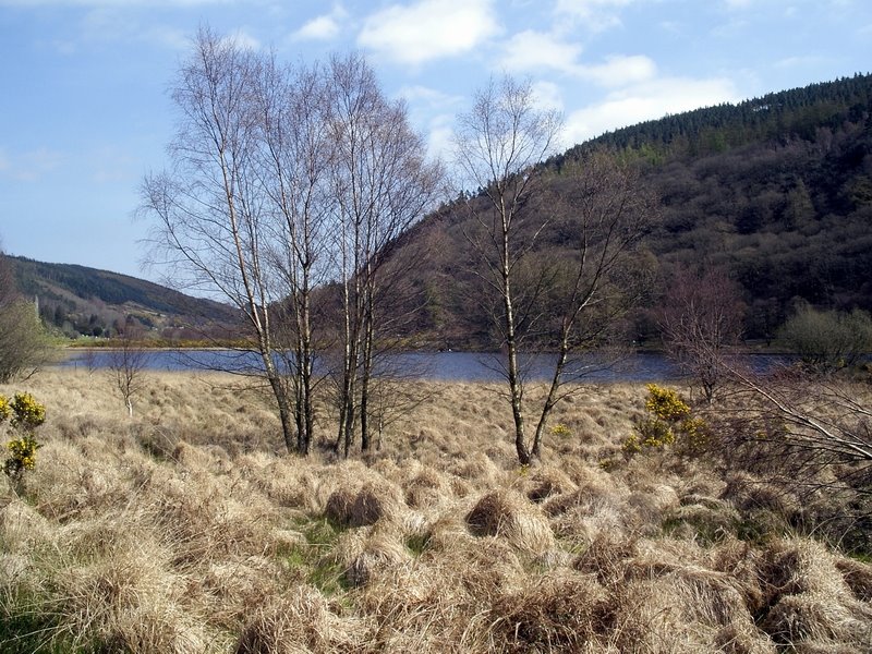 Glendalough Lower Lake by Bellatrix86