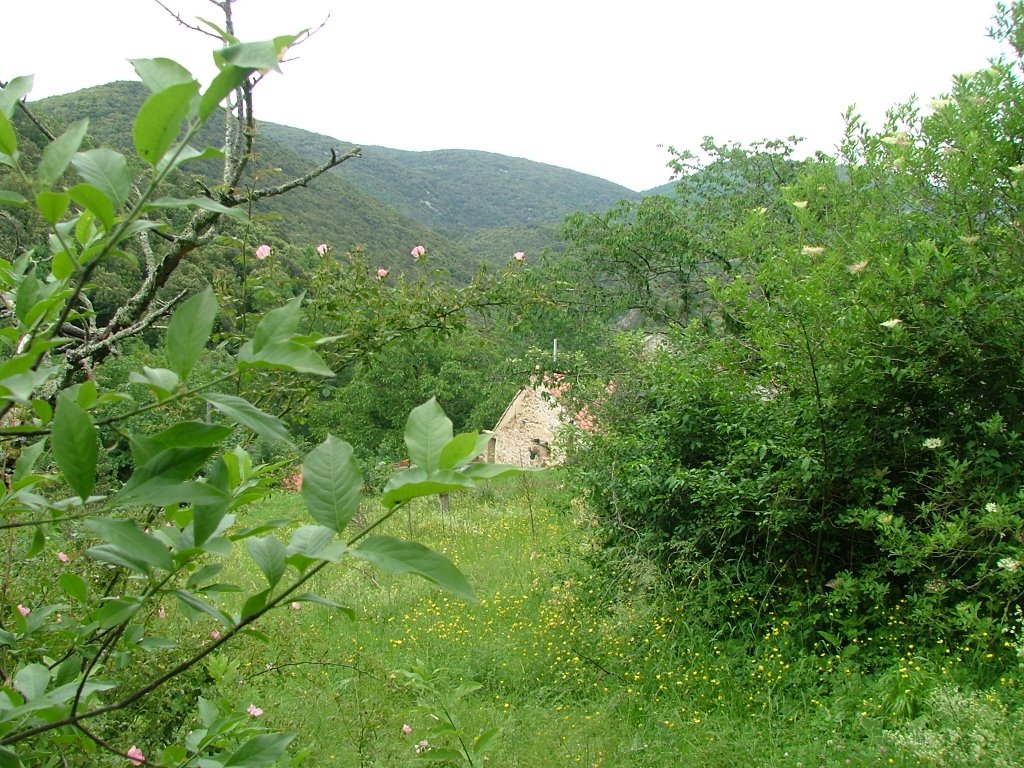 Vue partielle de Bonnefont, Hameau de Saint Etienne d'Albagnan by rv8427