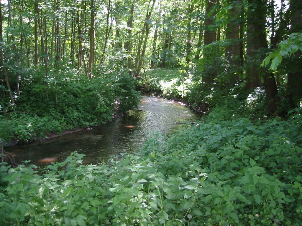 Stepenitz bei Mühlen by handbrems