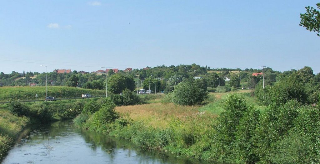 Pruszcz Gdański, Przemysłowa street, view at north (Aug 2008) by wza