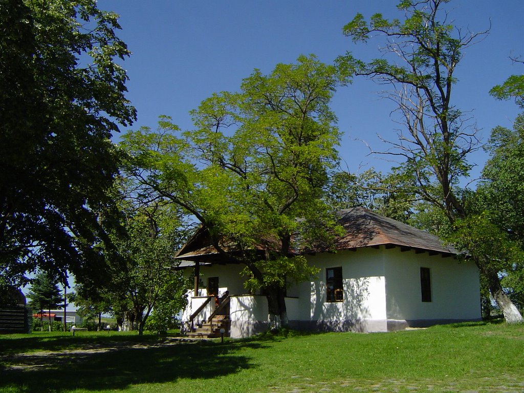 Casa memoriala Mihai Eminescu by Istrate Adrian