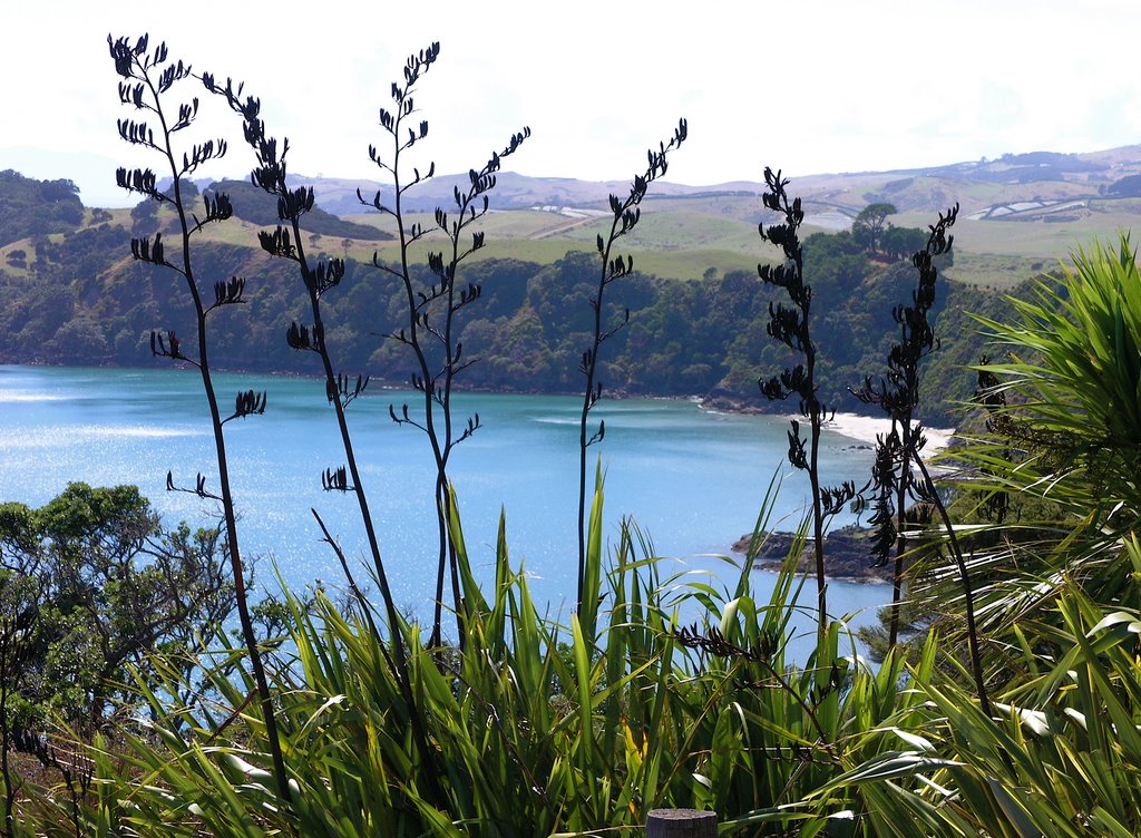 Belle Terrace Waiheke island by puddydaddy