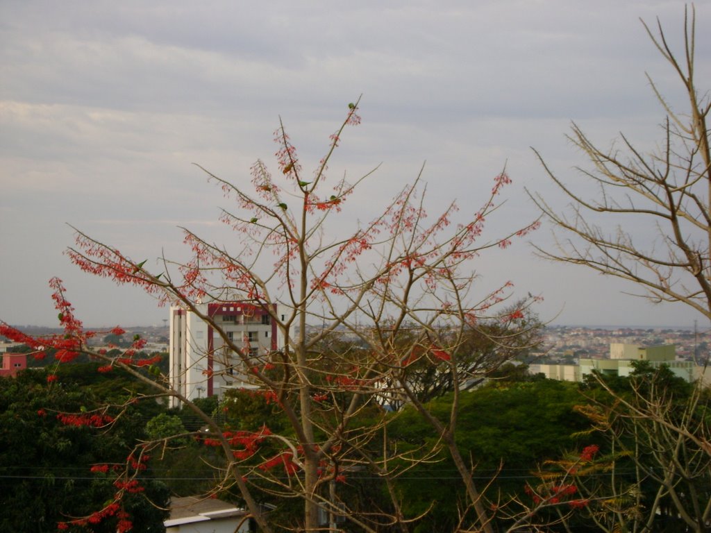 Natureza (01) - Biblioteca do Campus Umuarama - UFU - Uberlândia-MG by Ancelmo Antonio de Queiroz