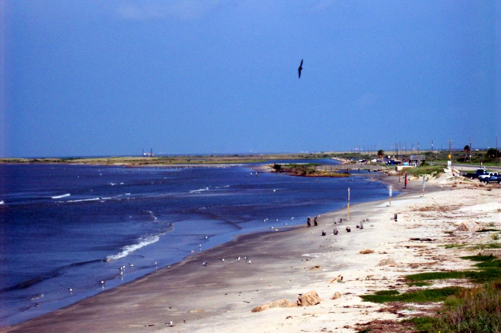 Galveston, TX, USA by LUIS ENRIQUE RESENDI…