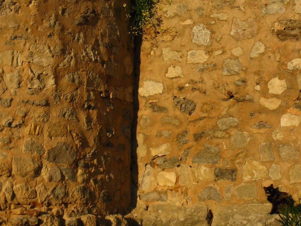 Castillo de Santiago by Fon