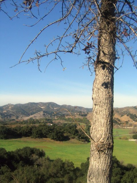 Calabasas on Mulholland by TeriOConnor