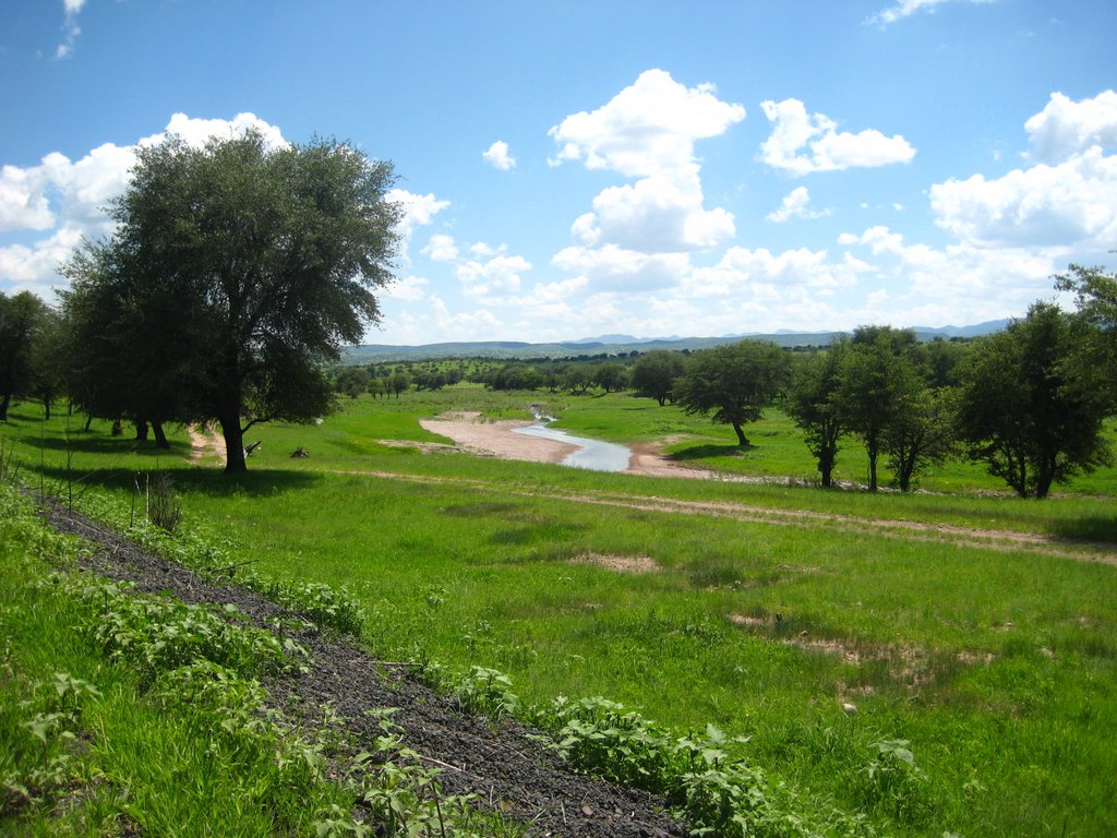 Camino a rosario Dgo. by eduardo1965