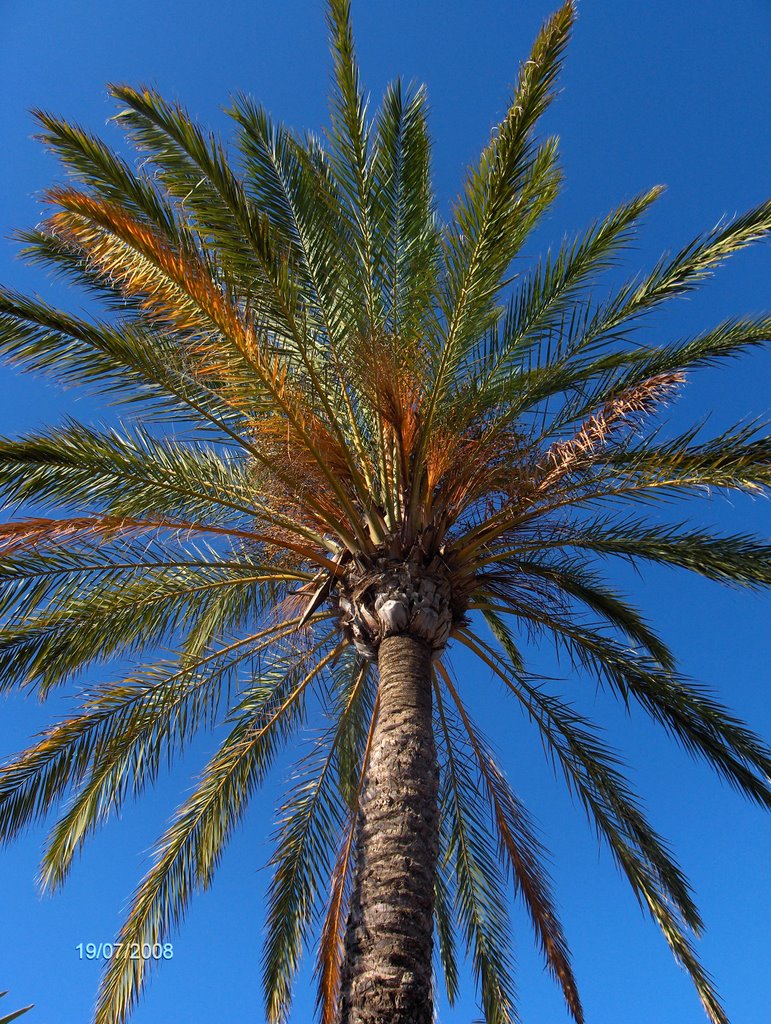 Sant Llorenç des Cardassar, Balearic Islands, Spain by papounetdaniel