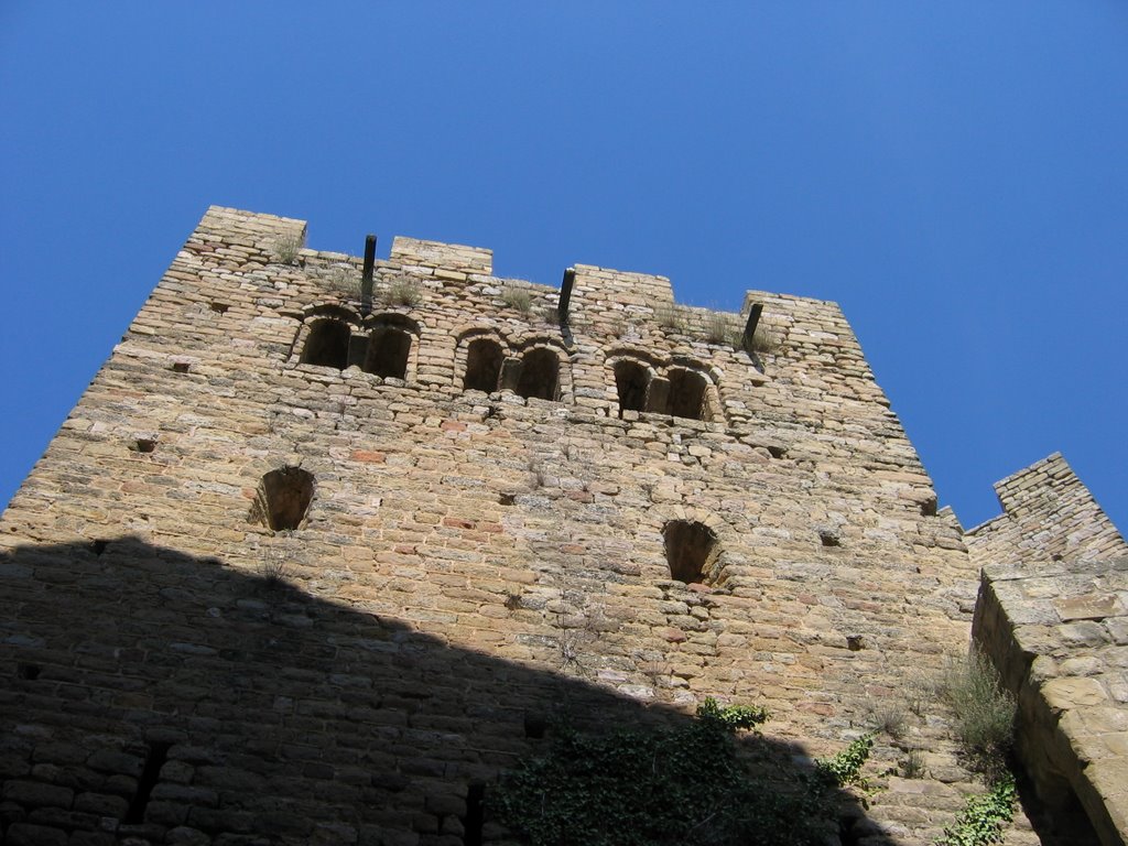 Castillo de Loarre - Huesca by Javier M.