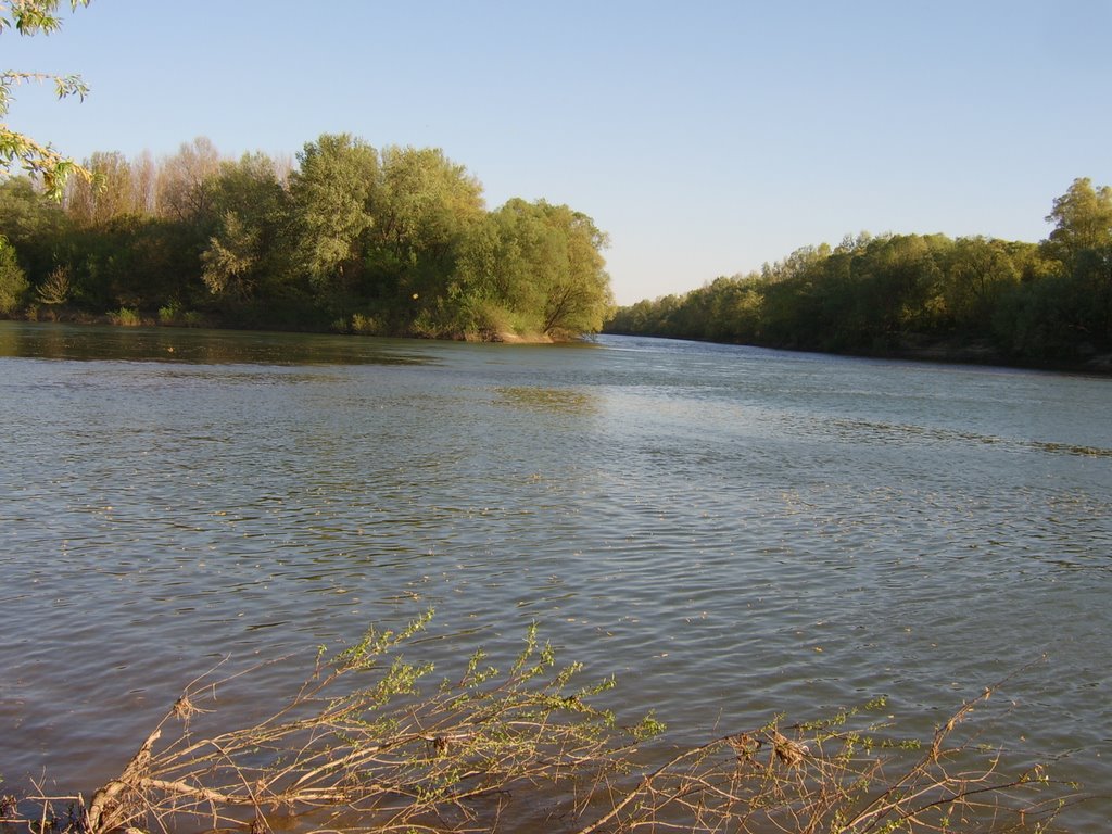 Tisza - Szamos összefolyás Gergelyi - Ugornyánál 2 by mrpet