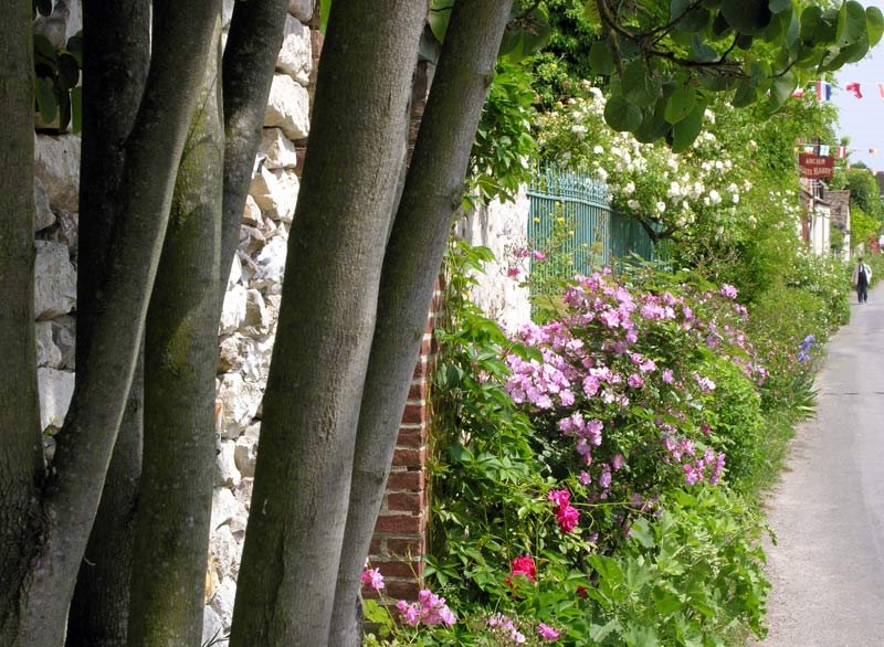 Rue Claude Monet by Tony Smull