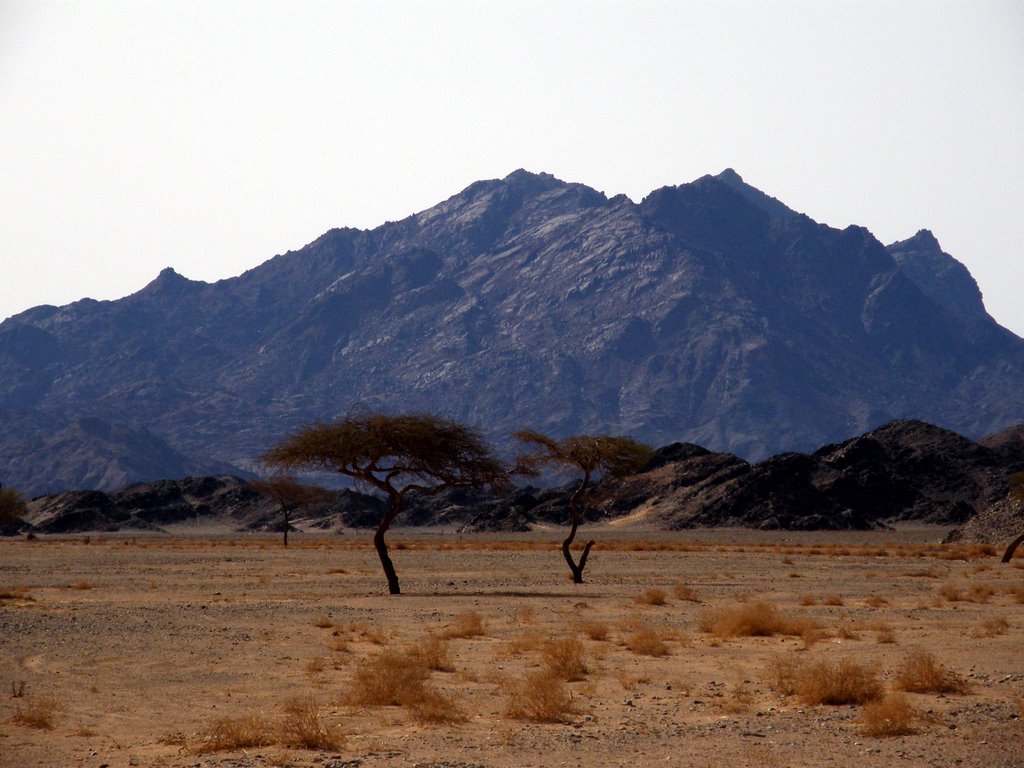 Zone protégée Wadi El-Gemal by youssef_alam