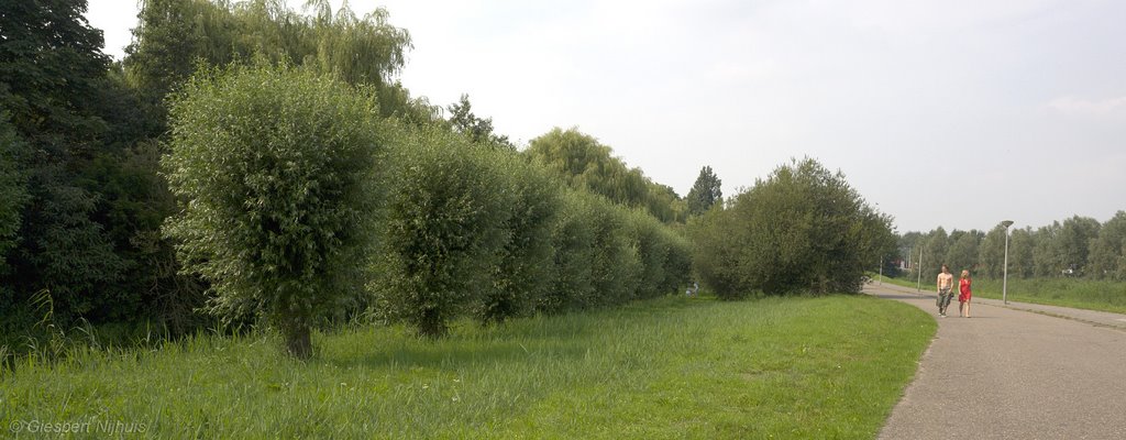 Het Overbrakerpad, 20080727 by Giesbert Nijhuis