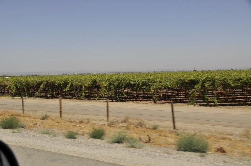 Kern County, CA, USA by José Luis Pérez De C