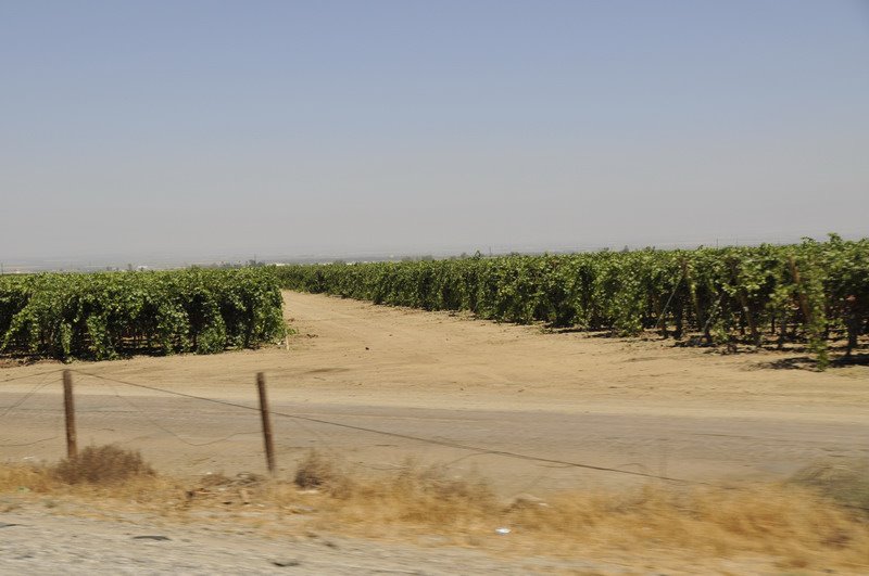 Kern County, CA, USA by José Luis Pérez De C