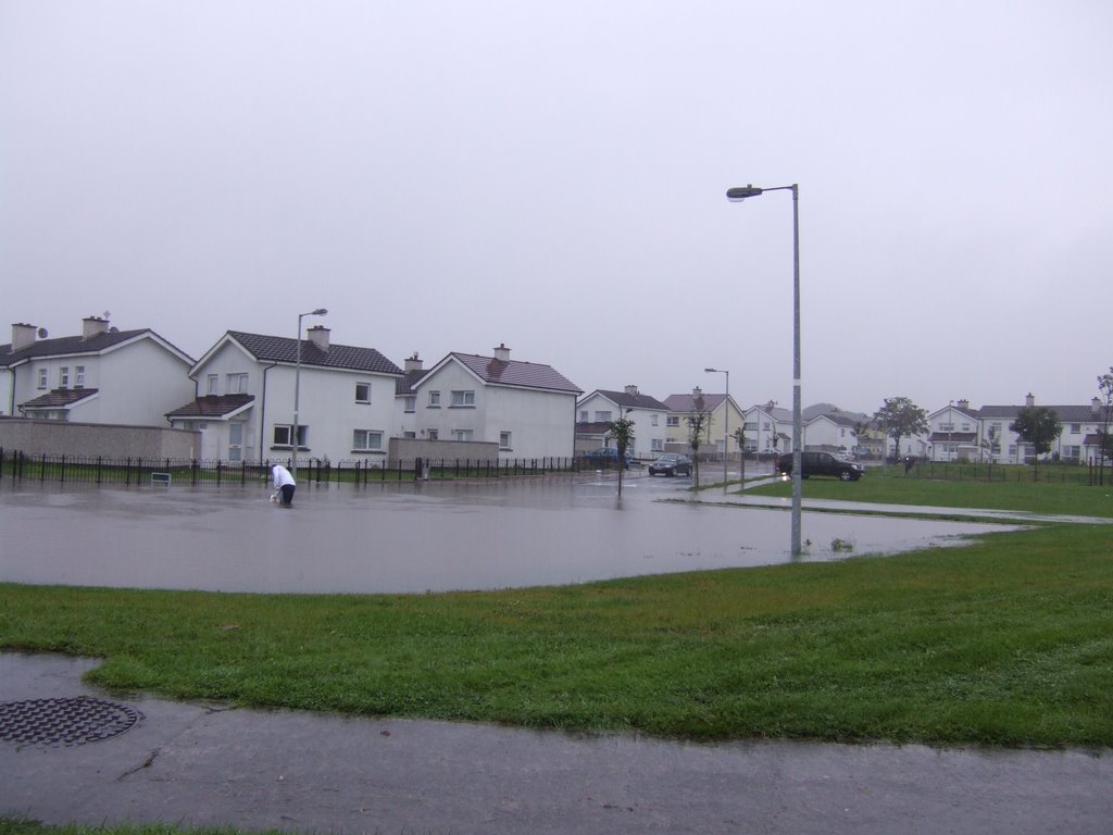 Corduff, Dublin, Ireland by buleetu