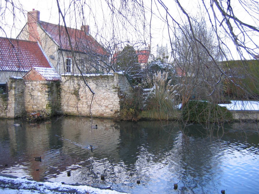 Mill Pond & St Mary's by Shane McAleavey