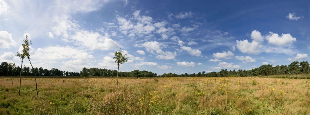 Panorama, Natuurgebied De Stippelberg, Milheeze by Wim Janssen